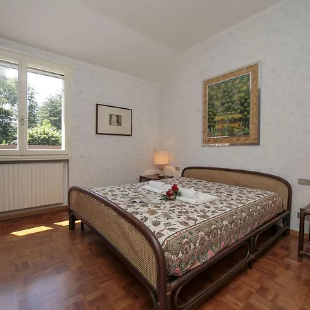 Magnolia Stellata Prázdninový dům Ispra